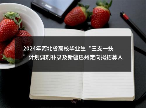 2024年河北省高校毕业生“三支一扶”计划调剂补录及新疆巴州定向拟招募人员公示名单 图片