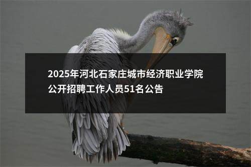 2025年河北石家庄城市经济职业学院公开招聘工作人员51名公告 图片