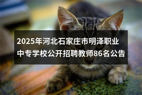 2025年河北石家庄市明泽职业中专学校公开招聘教师86名公告 图片