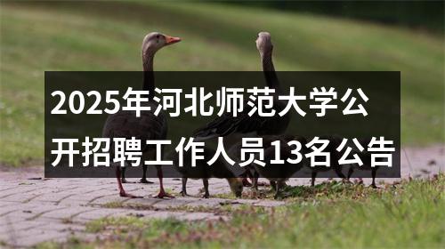 2025年河北师范大学公开招聘工作人员13名公告 图片