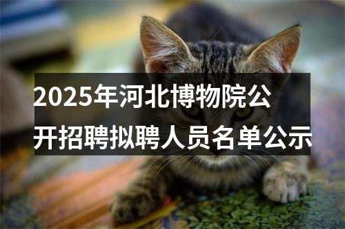 2025年河北博物院公开招聘拟聘人员名单公示 图片