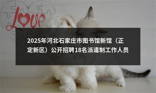 2025年河北石家庄市图书馆新馆（正定新区）公开招聘18名派遣制工作人员公告 图片