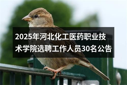 2025年河北化工医药职业技术学院选聘工作人员30名公告 图片