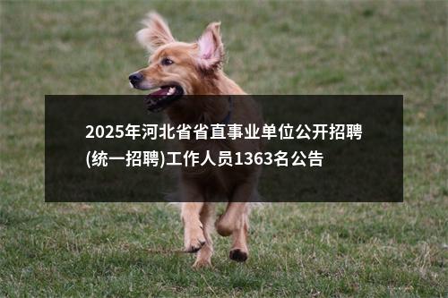 2025年河北省省直事业单位公开招聘(统一招聘)工作人员1363名公告 图片