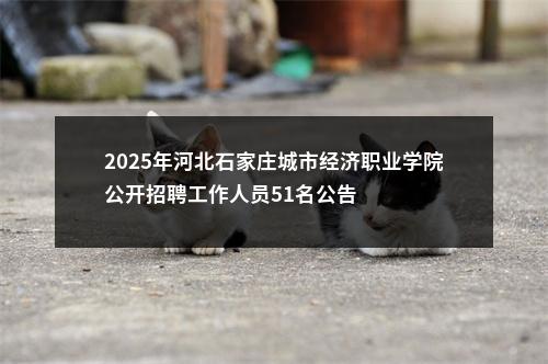 2025年河北石家庄城市经济职业学院公开招聘工作人员51名公告 图片