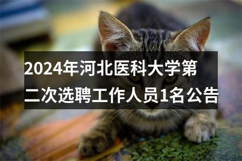 2024年河北医科大学第二次选聘工作人员1名公告 图片