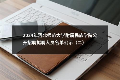 2024年河北师范大学附属民族学院公开招聘拟聘人员名单公示（二） 图片