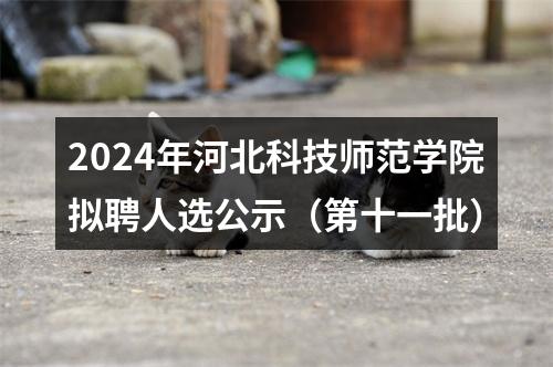 2024年河北科技师范学院拟聘人选公示（第十一批） 图片