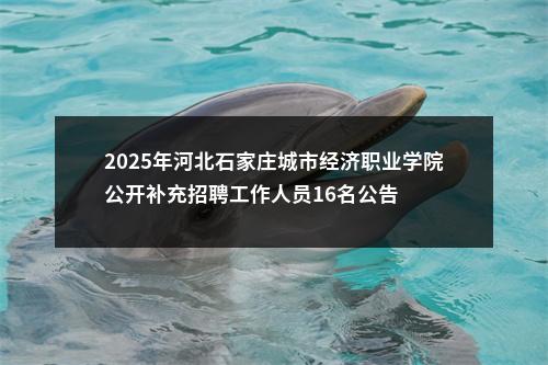 2025年河北石家庄城市经济职业学院公开补充招聘工作人员16名公告 图片