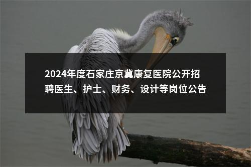 2024年度石家庄京冀康复医院公开招聘医生、护士、财务、设计等岗位公告 图片