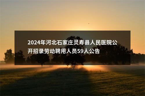 2024年河北石家庄灵寿县人民医院公开招录劳动聘用人员59人公告 图片
