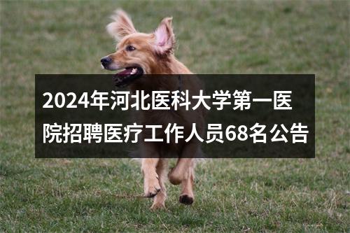 2024年河北医科大学第一医院招聘医疗工作人员68名公告 图片